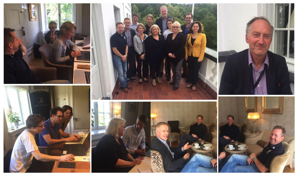 SNF-Styrelseinternat-2017 neurologforeningen